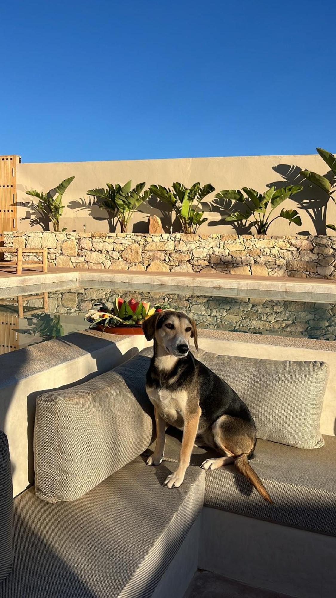Argan House Morocco Bed & Breakfast Taghazout Dış mekan fotoğraf